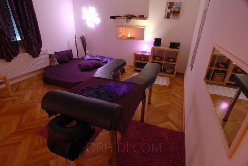 Best Erotik Massagen Body Touch Stuttgart in Stuttgart - place photo 1
