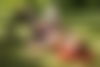 Oksanaheisse ? - hidden photo 5