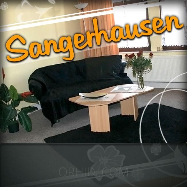 Einrichtungen IN Sangerhausen - place Konkurrenzlos und absolut diskret arbeiten!