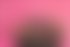 Meet Amazing Pink: Top Escort Girl - hidden photo 4