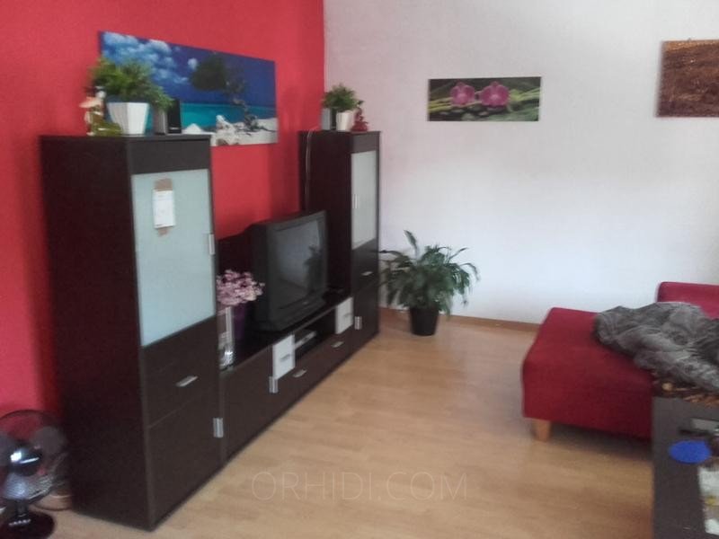 Bester Top Adresse sucht Damen in Ludwigsburg - place photo 8