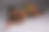 Cris ???? - hidden photo 15