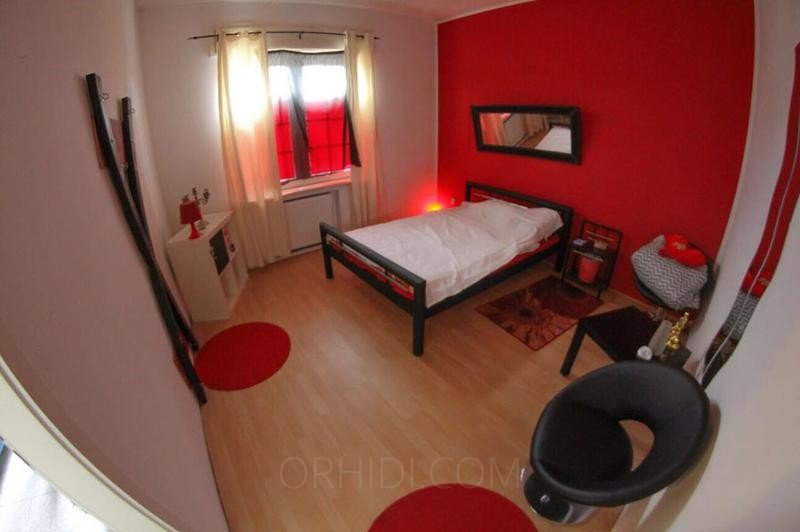 Best 2-Zimmer Appartement in Duisburg zu vermieten! in Duisburg - place photo 1
