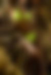 Julia ? - hidden photo 6