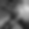 Ts Gaela Mega Party1 ?? - hidden photo 14