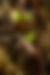 Julia ? - hidden photo 5