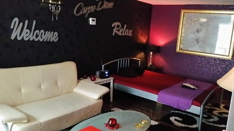 Los mejores modelos Fiestas sexuales te están esperando - place Termin Wohnung in 40227 Düsseldorf – Oberbilk zu vermieten!