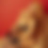 Trans Christina ? - hidden photo 4