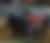 Cataleya Neu ? - hidden photo 7