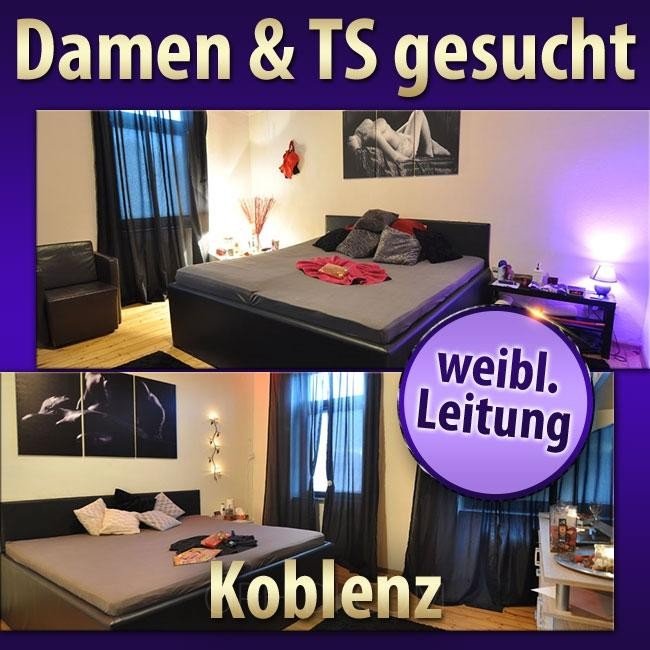 Best SOMMERANGEBOT: nur 300 € Wochenmiete in Koblenz - place photo 4