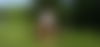 JOSEFA NEREUS ? - hidden photo 3