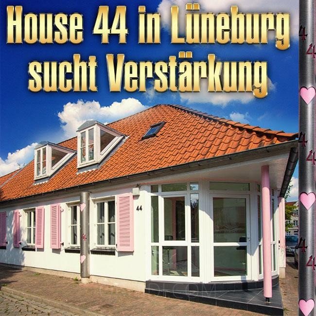Best Top Adresse vermietet noch Zimmer! in Lüneburg - place photo 3