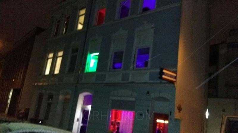 Лучшие Haus Exotica - sehr gerne Ausländerinnen в Бремен - place photo 7