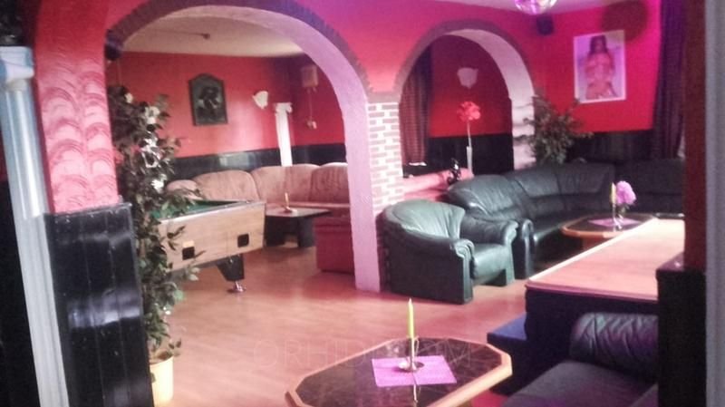 Best Club Bar Mallorca - Miete oder Prozente in Spremberg - place photo 6