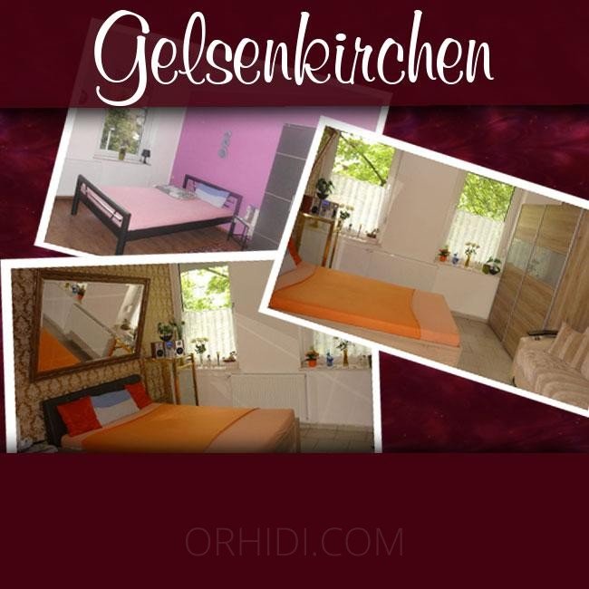 Best TOP Apartment in bekannter Adresse zu vermieten! in Gelsenkirchen - place photo 1