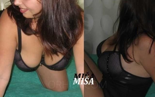Treffen Sie Amazing Miša: Top Eskorte Frau - model preview photo 0 