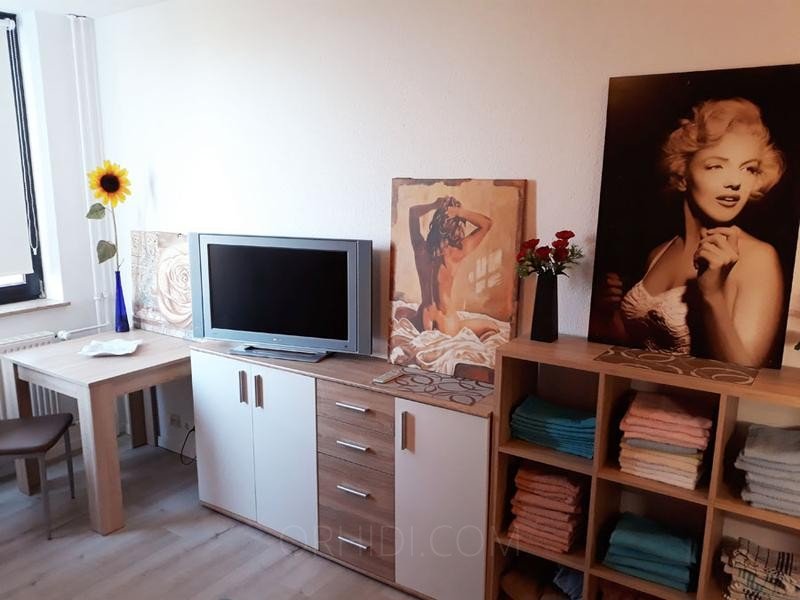 Best Flat for rent Models Are Waiting for You - place Appartement in diskreter Lage zu vermieten!