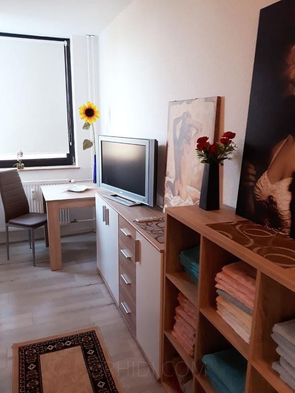 Best Appartement in diskreter Lage zu vermieten! in Mainz - place photo 5