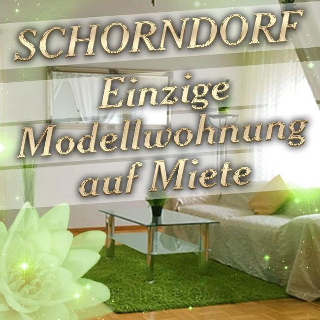 Establishments IN Schorndorf - place 2-Zimmer Wohnung zu vermieten