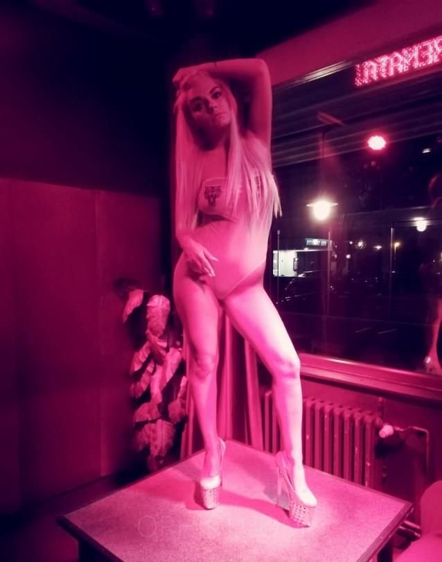 Top Porn Star Experience escort in Erftstadt - model photo Petra