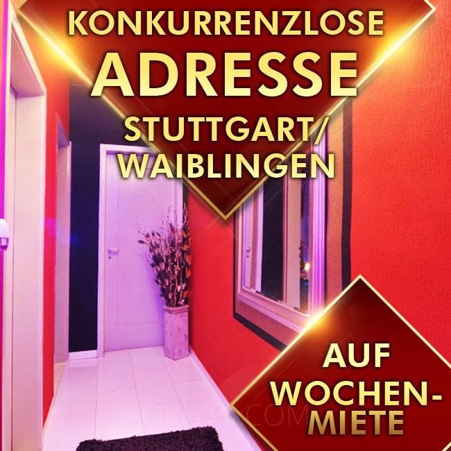 Best Konkurrenzlose Adresse! in Winnenden - place photo 9
