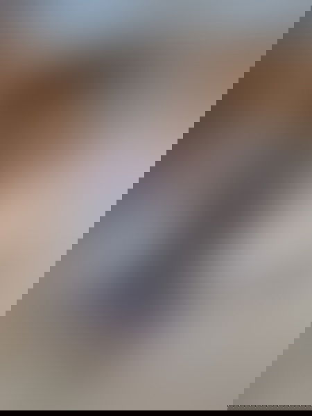 BBW Escort  (Huren, Nutten) in Krefeld, Nordrhein-Westfalen. - model photo Neu! Lady Antonia