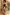 Meet Amazing KLARA - VILLA VENEZIA: Top Escort Girl - hidden photo 1