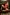 Meet Amazing KLARA - VILLA VENEZIA: Top Escort Girl - hidden photo 0