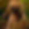 Juliya ???? - hidden photo 3