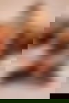 Carina ? - hidden photo 4