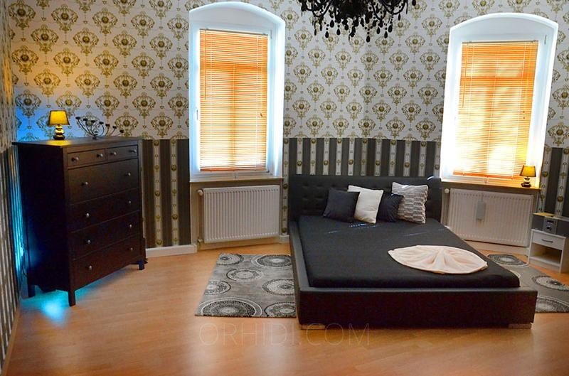 Best Brothels in Dresden - place Terminwohnung der Extraklasse vermietet Zimmer