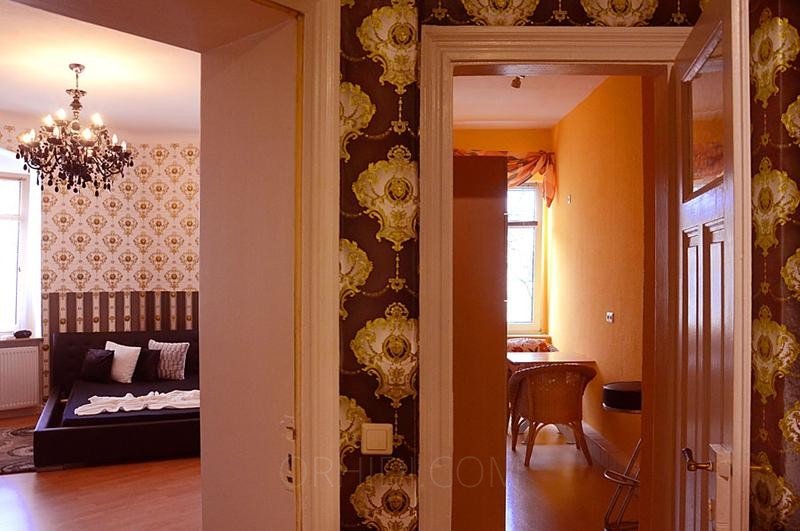 Bester Terminwohnung der Extraklasse vermietet Zimmer in Dresden - place photo 4