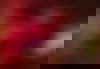 Julia ? - hidden photo 6