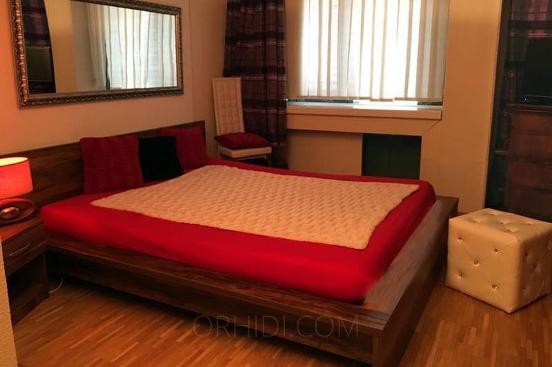 Best Flat for rent Models Are Waiting for You - place Terminwohnung mit 24h-Bewilligung