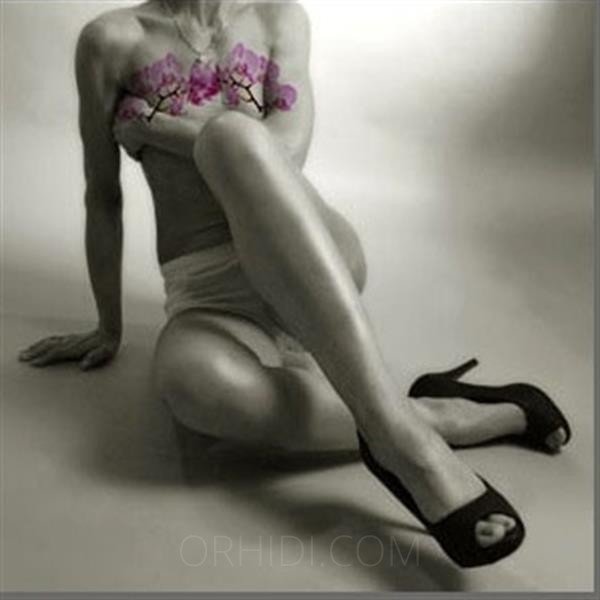 Ti presento la fantastica FRANZI BEI BIANCA´S STUDIO: la migliore escort - model preview photo 1 