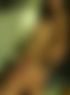 Meet Amazing Neu Michelle Skinny Girl: Top Escort Girl - hidden photo 3