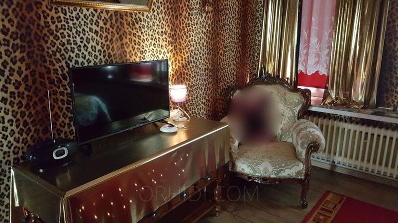 Strip Clubs in Flensburg for You - place Zimmer in Privatwohnung frei