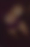 Meet Amazing Kathi Wiener Madl: Top Escort Girl - hidden photo 6