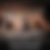 Die Wohnung 72 b.T?ubchen ? - hidden photo 8