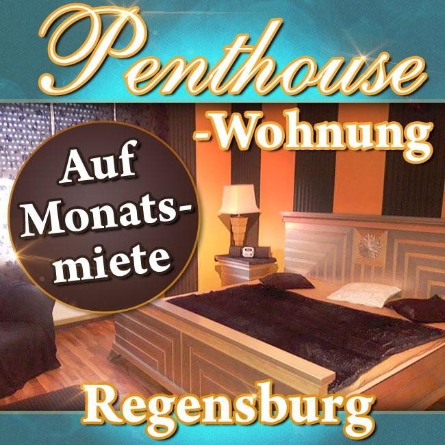 Bester 320 qm Penthouse-Wohnung langfristig zu vermieten! in Regensburg - place photo 4