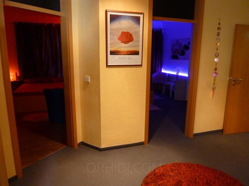 Best Zimmer an Damen  & TS zu vermieten! in Gütersloh - place photo 3