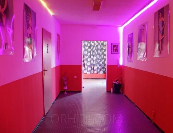 Erleben Sie erstklassige Nachtclubs in Wuppertal  - place Das Haus "Blue Thai" sucht Verst?rkung!
