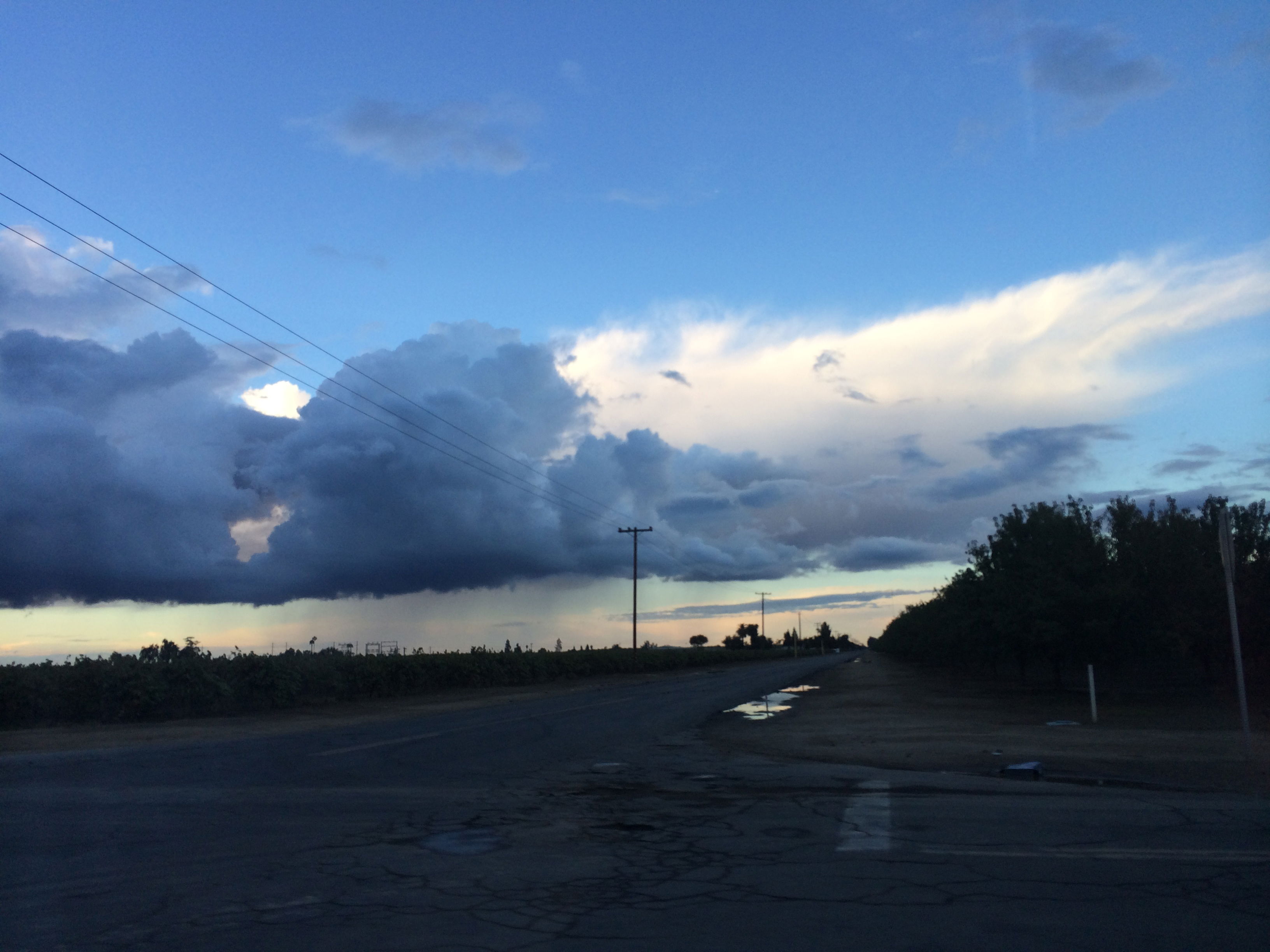 Summerwinters - Escort Glasgow