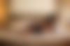 TS Valeria ?? - hidden photo 4