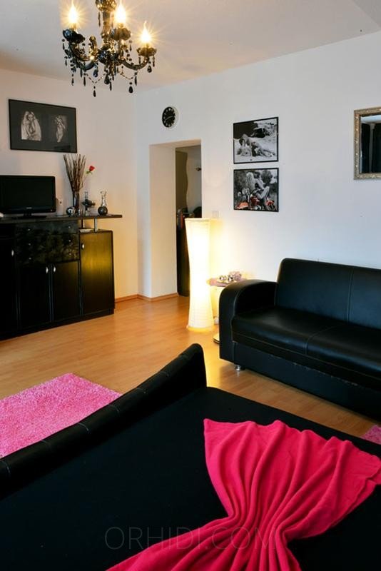 Лучшие Schönes Appartement zu vermieten в Кёльн - place photo 3