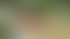 Знакомство с удивительной Eva 85d Blonde Blerin: Лучшая эскорт девушка - hidden photo 5