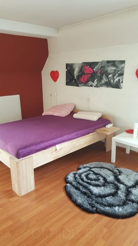Mejor Sehr schöne Zimmer in Fulda zu vermieten! en Fulda - place photo 1