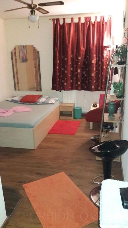 Best 2 Zimmer Hostessen-Wohnung in Mainz - place photo 1