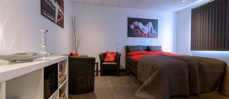 CASA AMORE - place photo 9