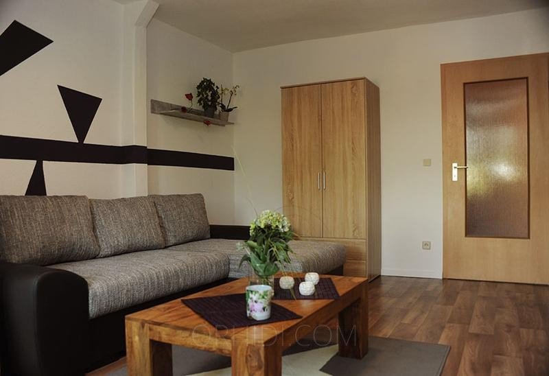 Best Flat for rent Models Are Waiting for You - place Terminwohnung zu günstiger Wochenmiete!